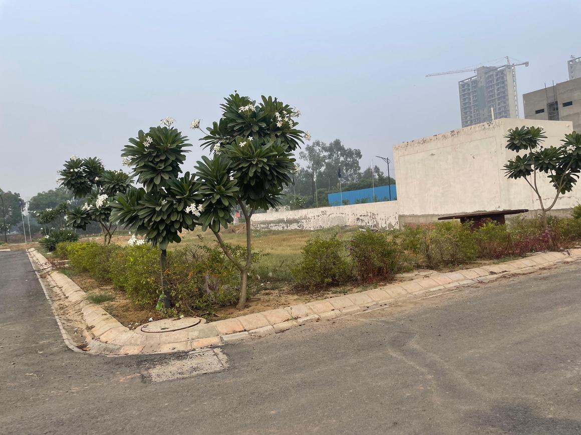 Lion Green Valley - Image 6