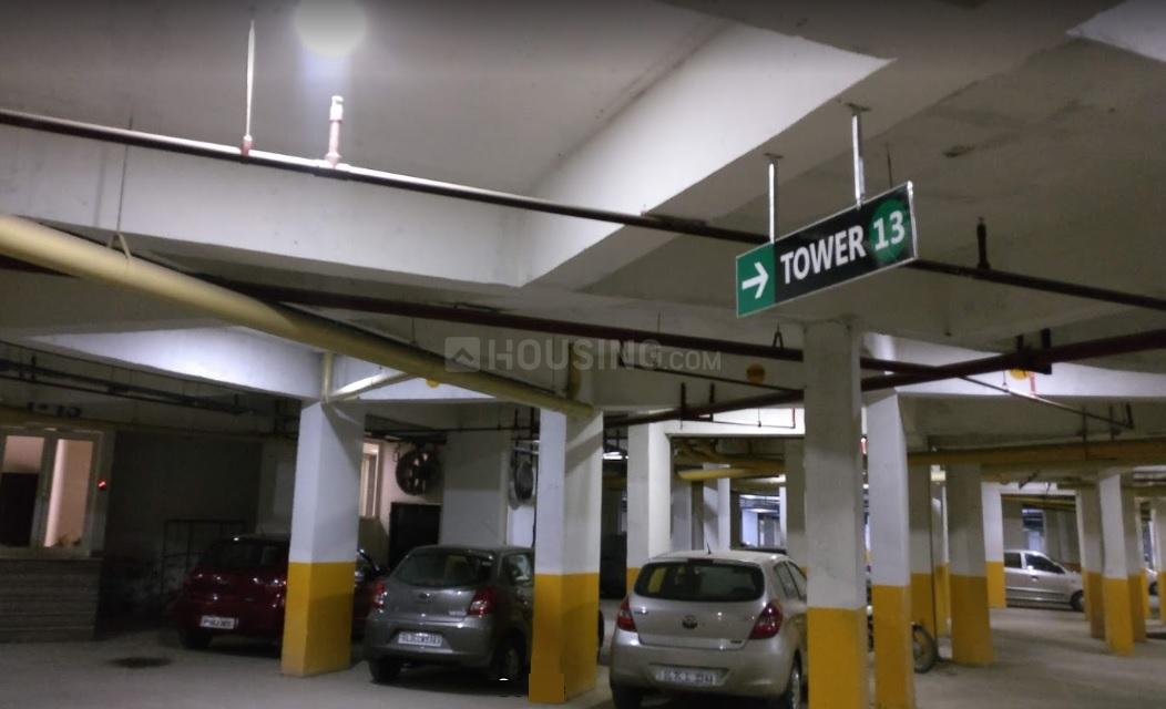 Exotica Dreamville - Image 26