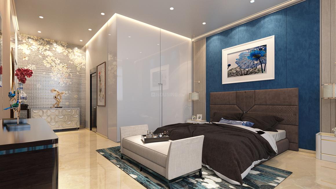 Apex D Rio - Image 13