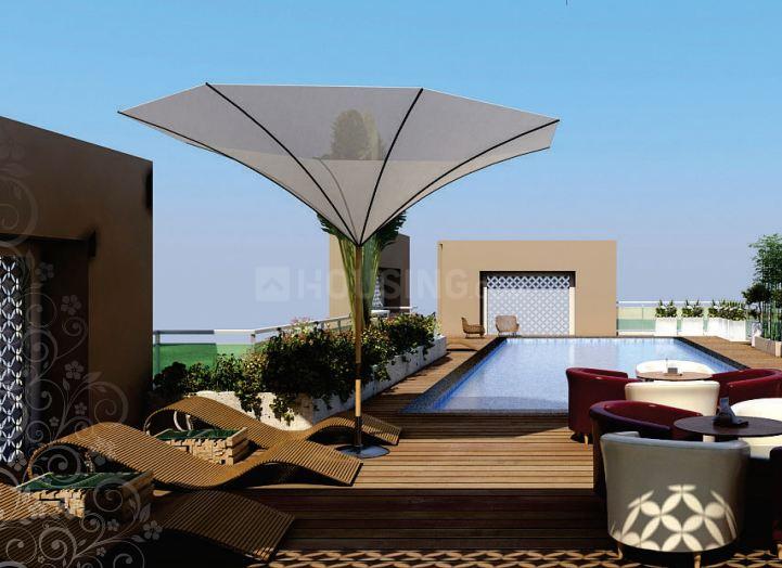 Parakh Golden Maple - Image 8