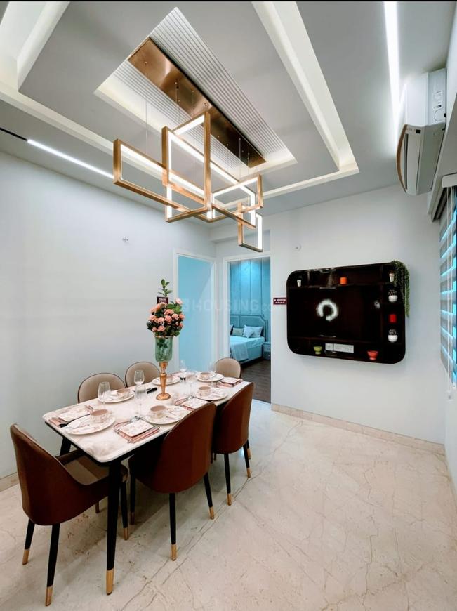 SKA Orion - Image 41