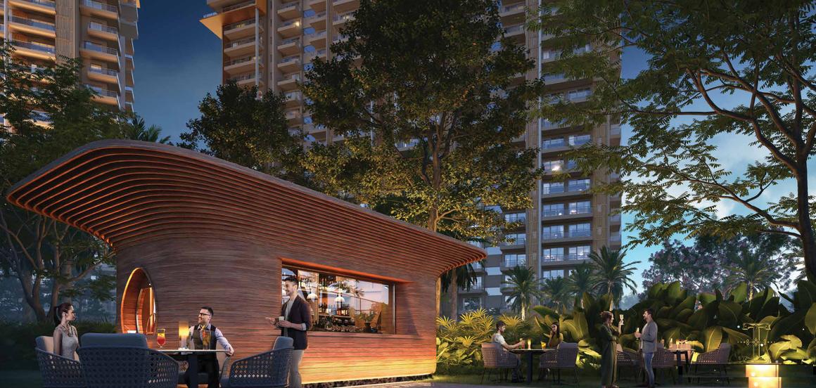 Ivory County Gold - Image 11