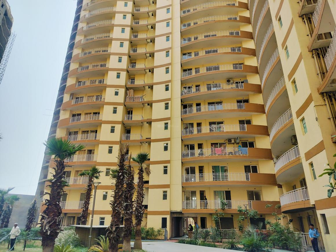 Rise Organic Homes - Image 6