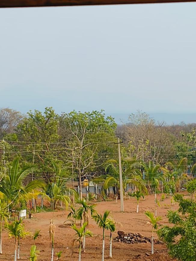 Swaraa - Image 7