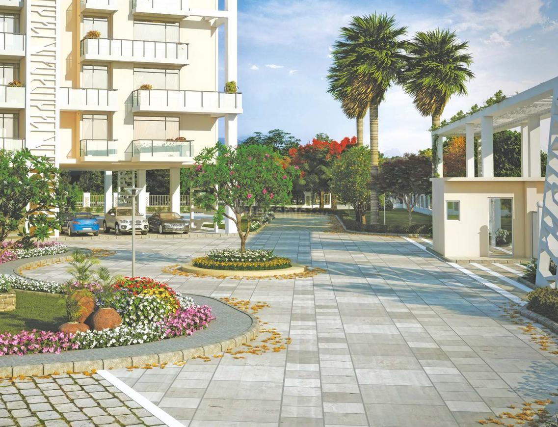 Sikka Kimaantra Greens - Image 14