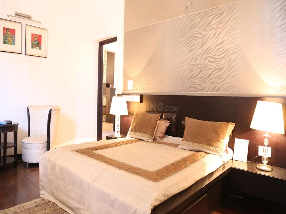 Exotica Fresco - Image 27