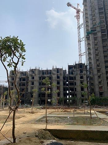 ACE Divino - Image 53