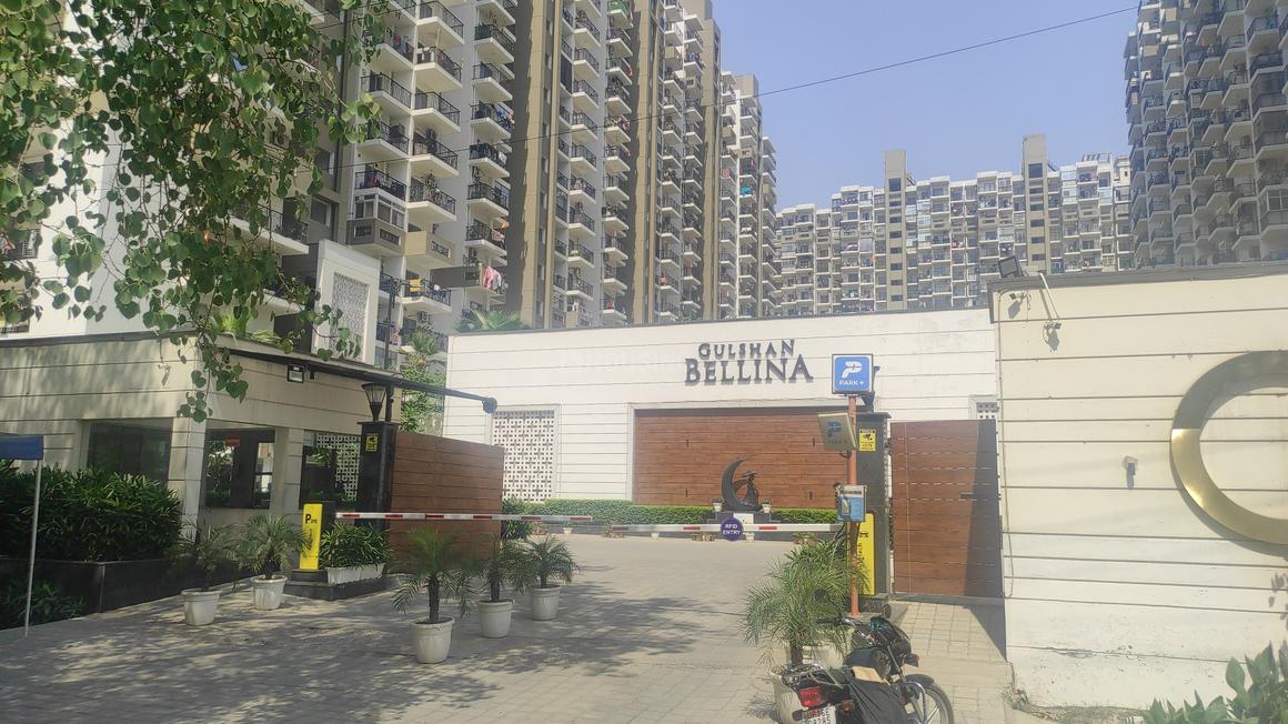 Gulshan Bellina - Image 7