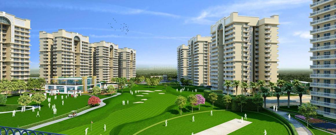 Sethi Venice - Image 11