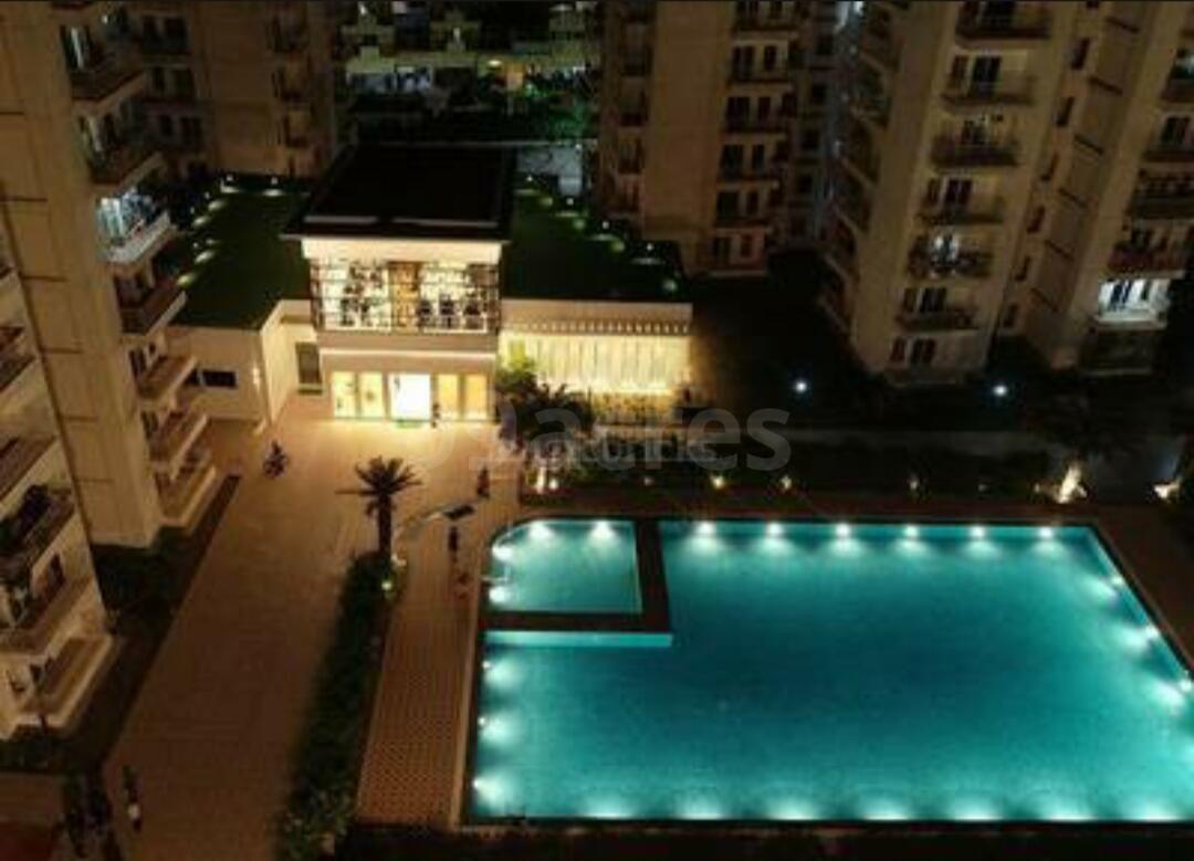 Mangalya Novena Green - Image 15