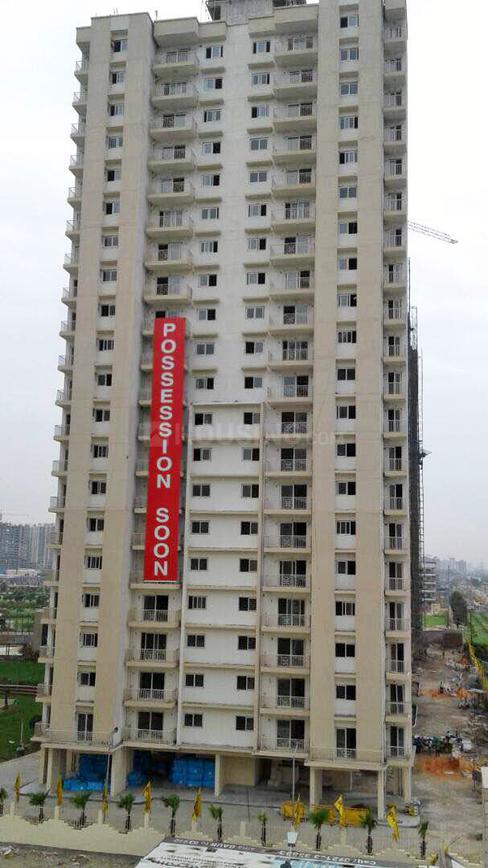 Saya Zion - Image 43