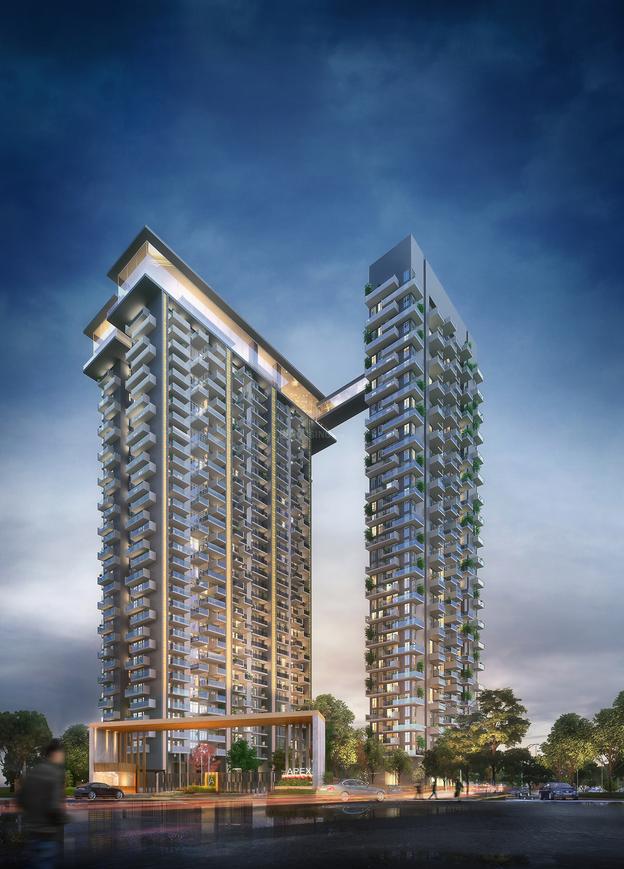 Apex D Rio - Image 5