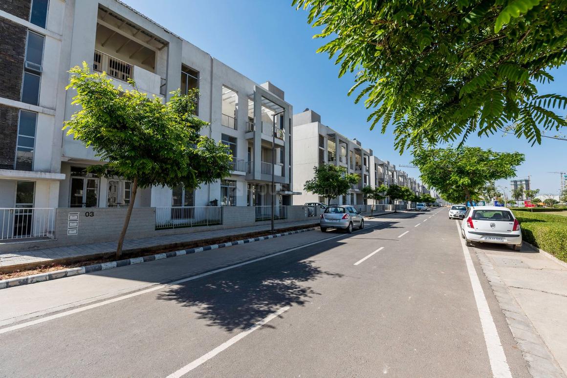 Vatika India Next - Image 8