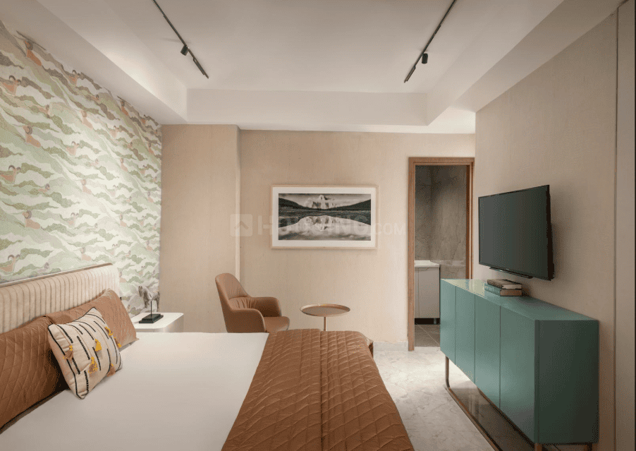 Express Zenith - Image 6