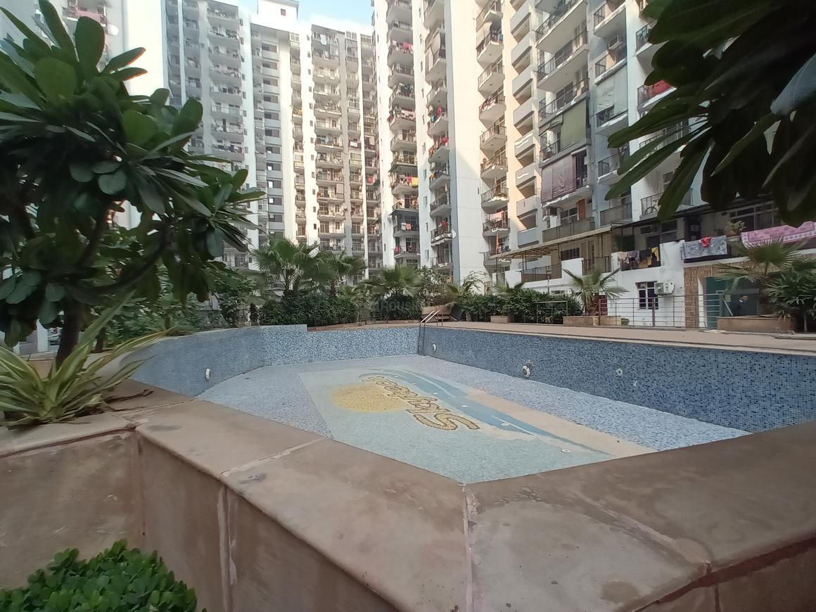 Skytech Matrott - Image 25