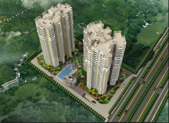 Keltech Imperial Greens - Image 5