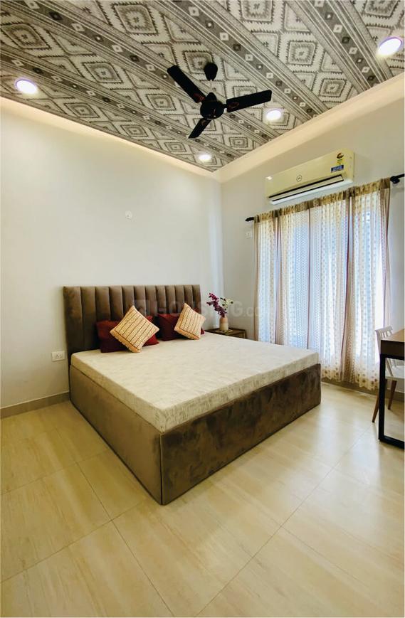 Beetle Orchid - Image 6