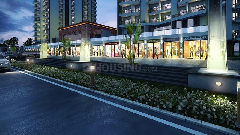 ACE Divino - Image 28