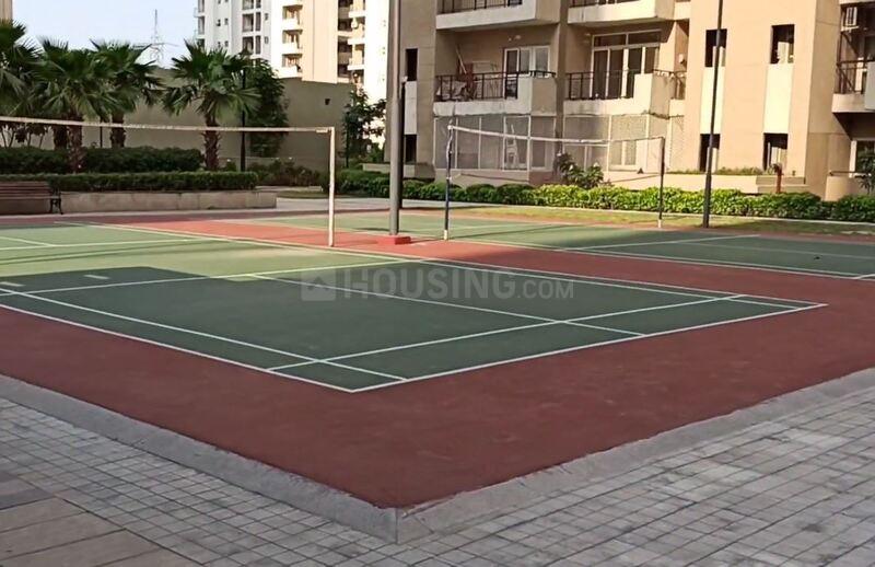 Nimbus The Golden Palms - Image 14