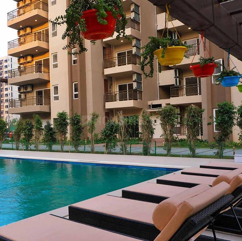 Adani Lushlands - Image 29