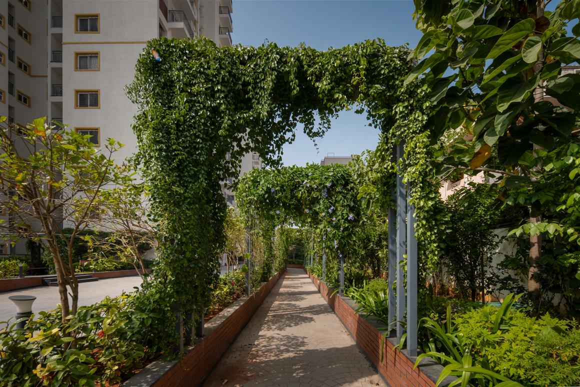 Keya Spring - Image 18