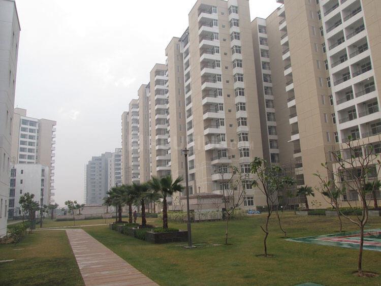 Omaxe Palm Leaf - Image 2