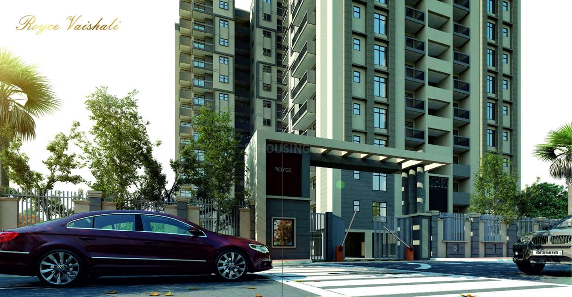 Royce Vaishali - Image 3