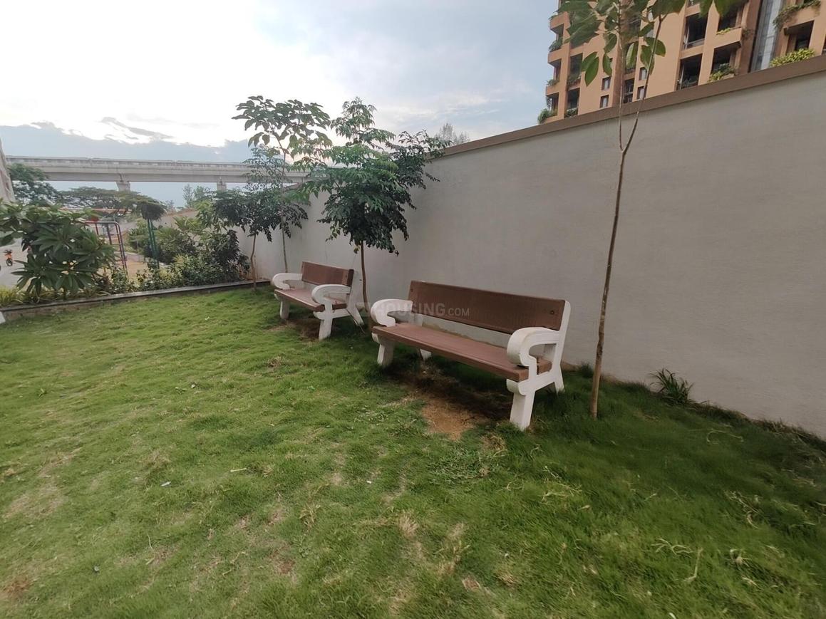 Mahaveer Carnation - Image 18