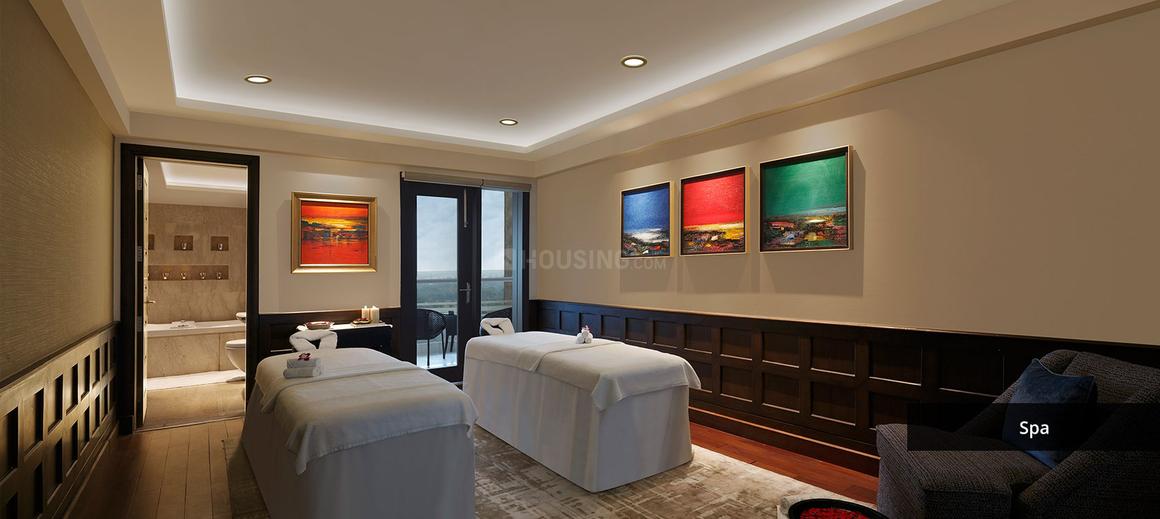 Ambience Caitriona - Image 18