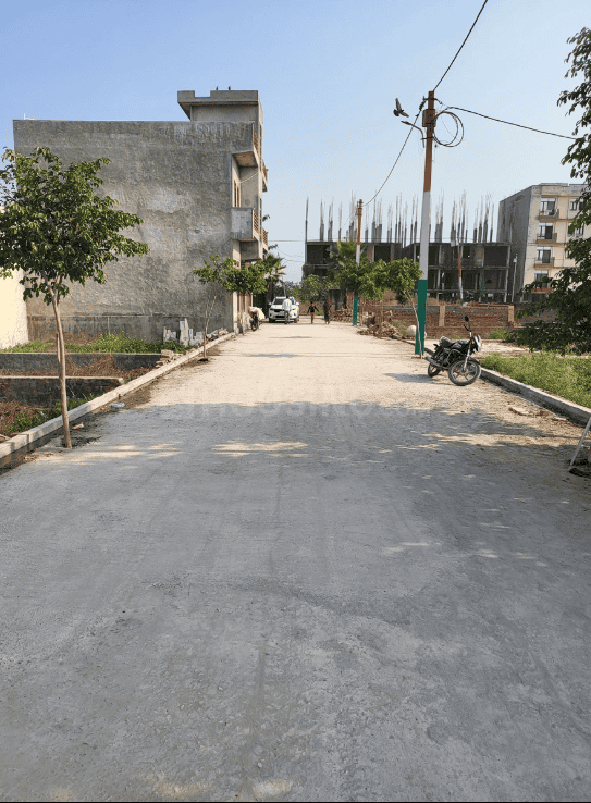 Rose N City - Image 8