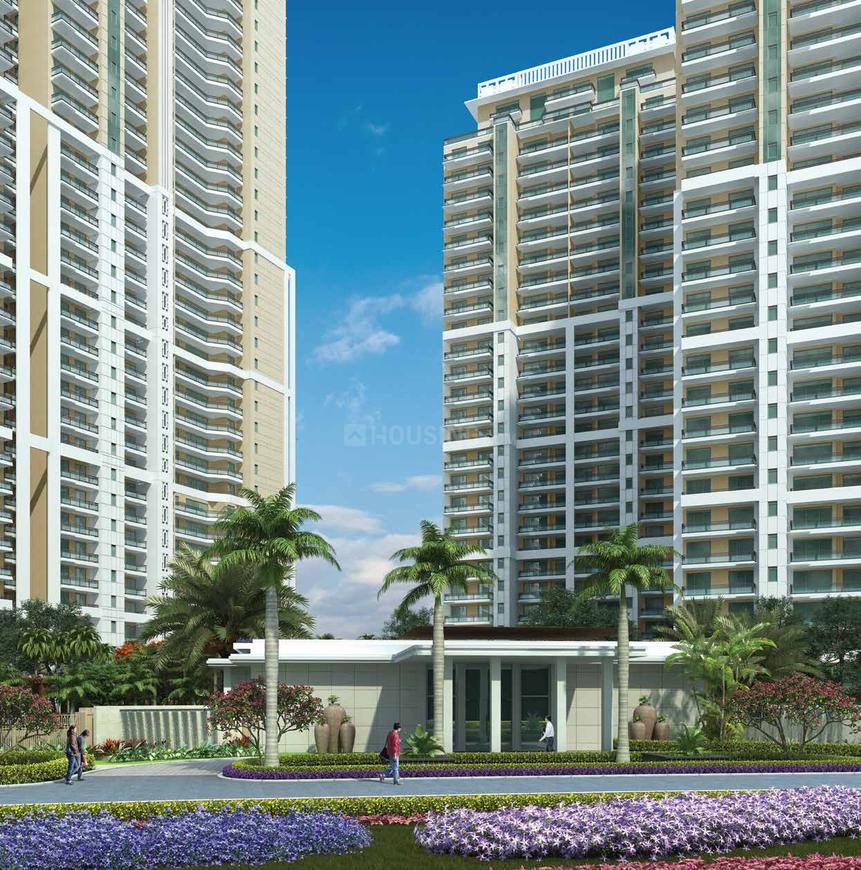 DLF The Crest - Image 6