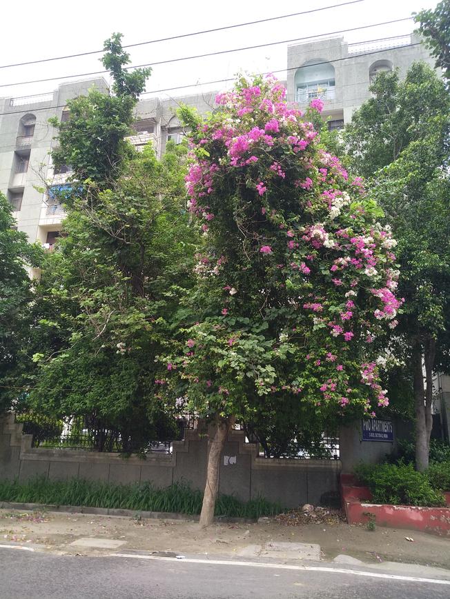 Purvanchal PMO Apartments - Image 8