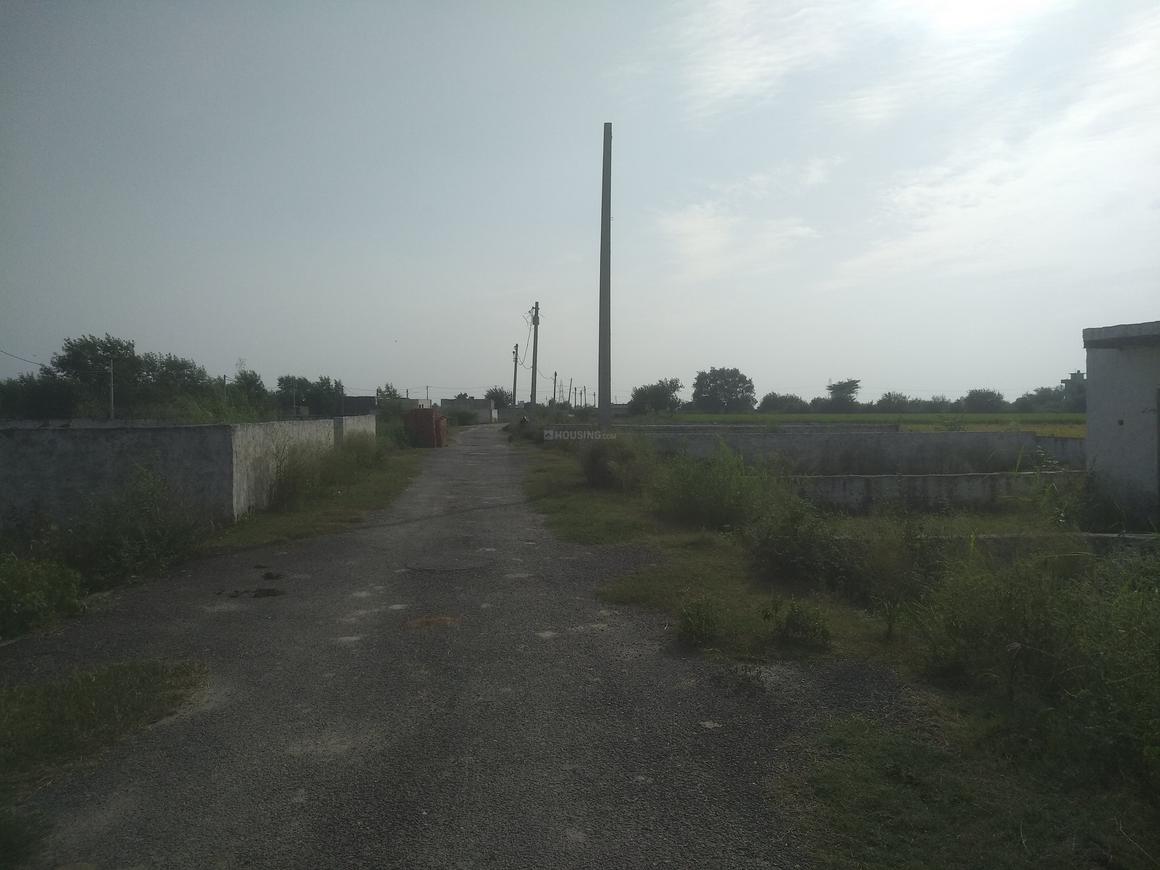 NS Prime View Extension - Image 2