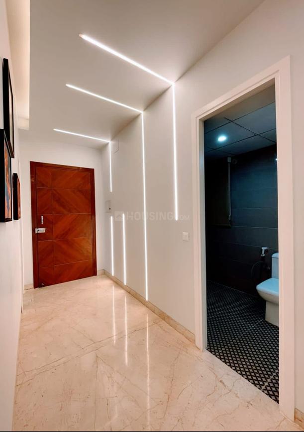 SKA Orion - Image 43