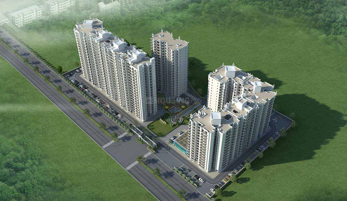 Sethi Max Royal - Image 5