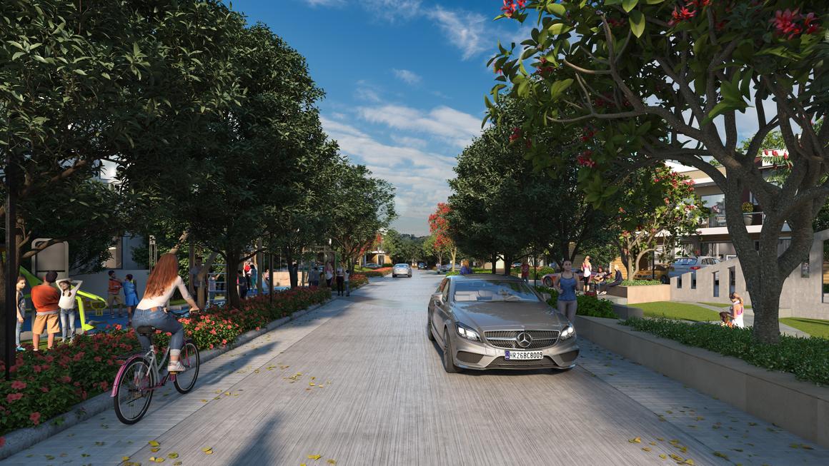 Assotech Canopy - Image 4