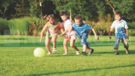 Panchsheel Premium 24 - Image 6