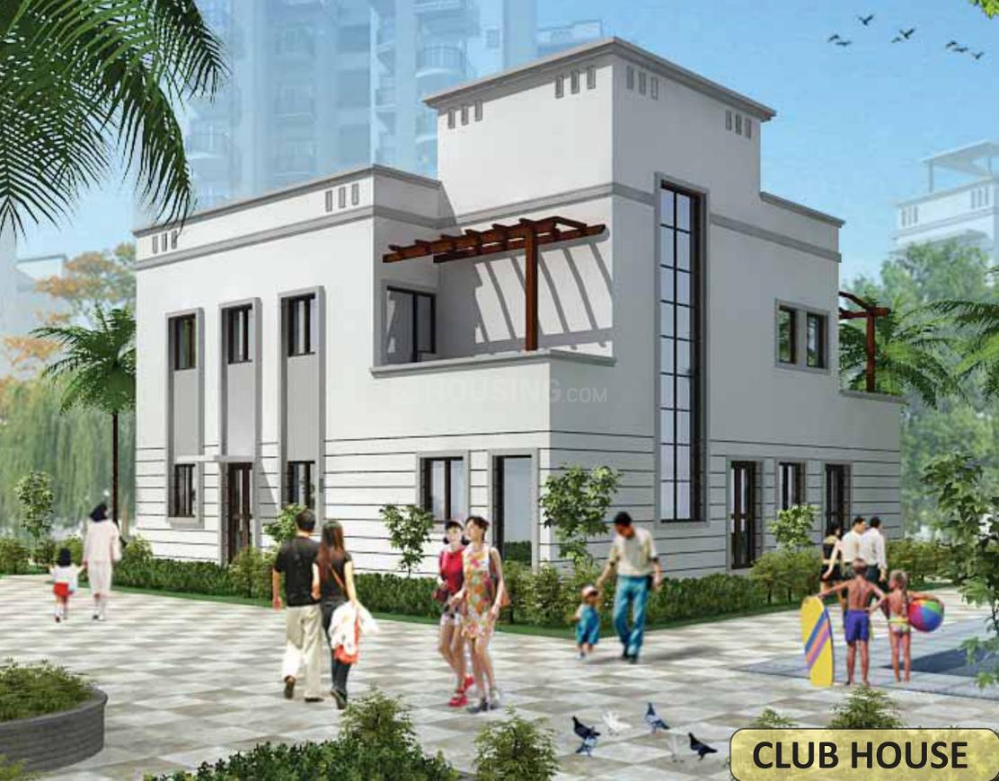 Sare Ebony Greens - Image 7