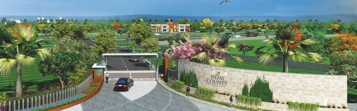 Palm County - Image 10