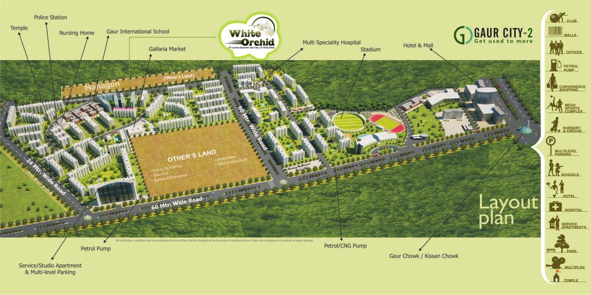 Town White Orchid - Image 17