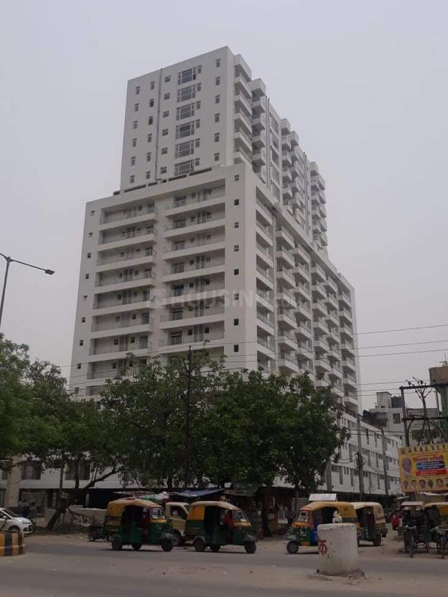 SKG The Merlin - Image 3