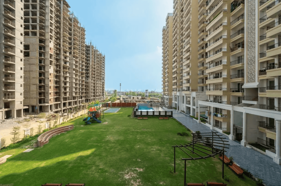 AIG Aigin Royal - Image 41