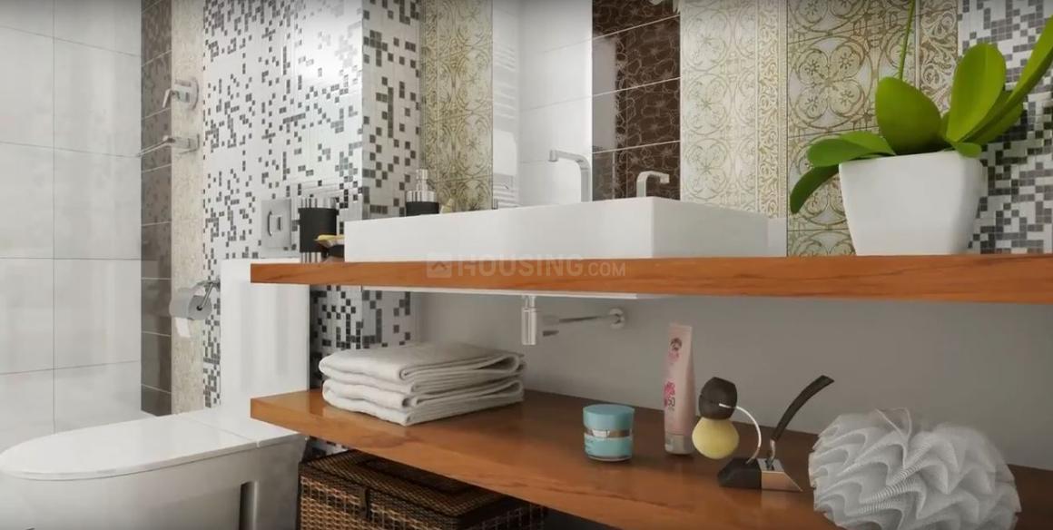 ACE Divino - Image 21