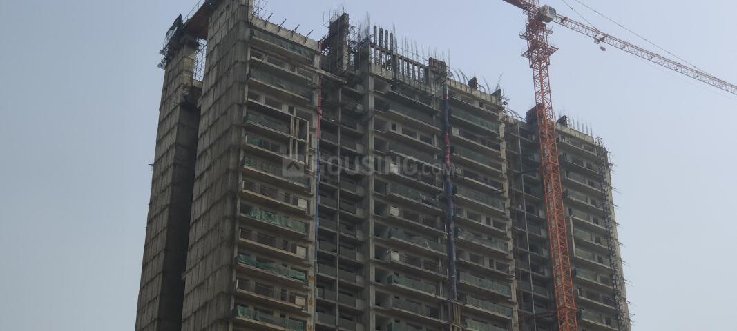 Prateek Canary - Image 48