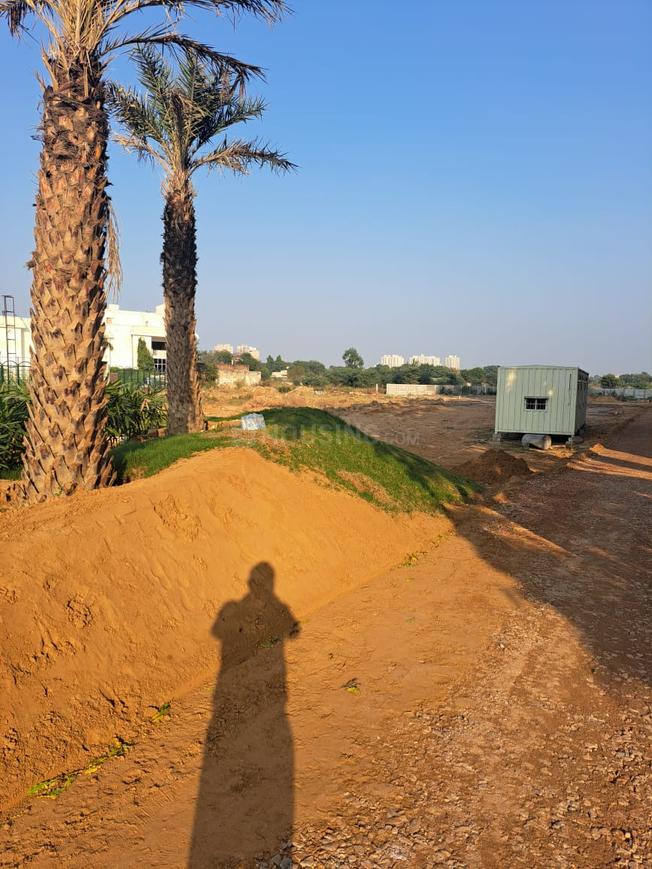 Pyramid Palm County - Image 7