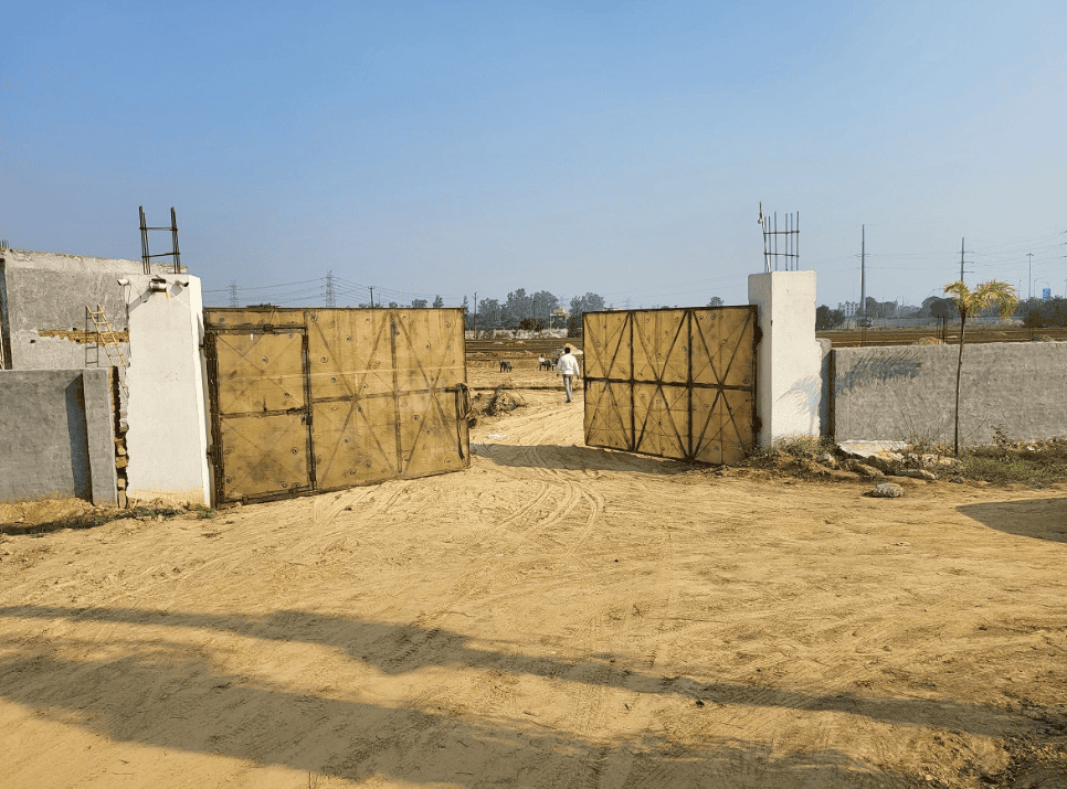 Rose N City - Image 9