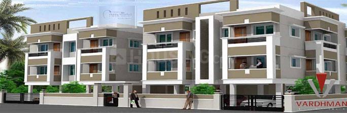 Vardhman Camellias - Image 2