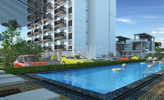 Candeur Signature - Image 12