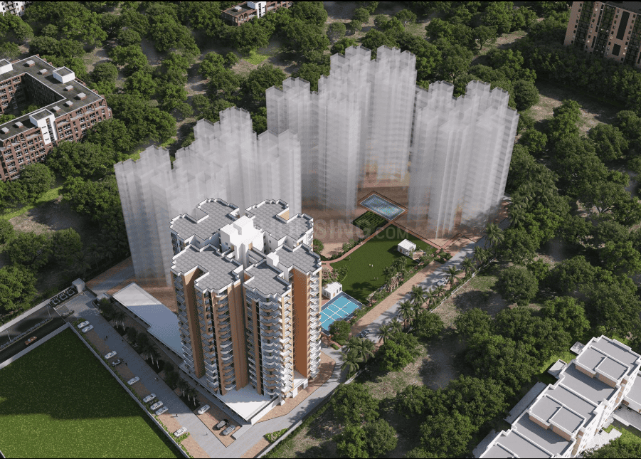 Express Zenith - Image 5