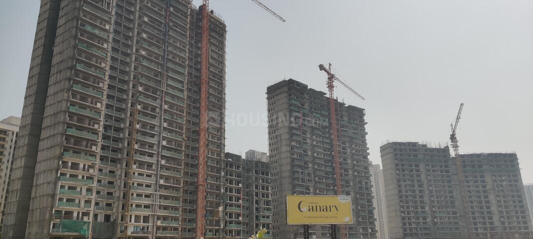 Prateek Canary - Image 49